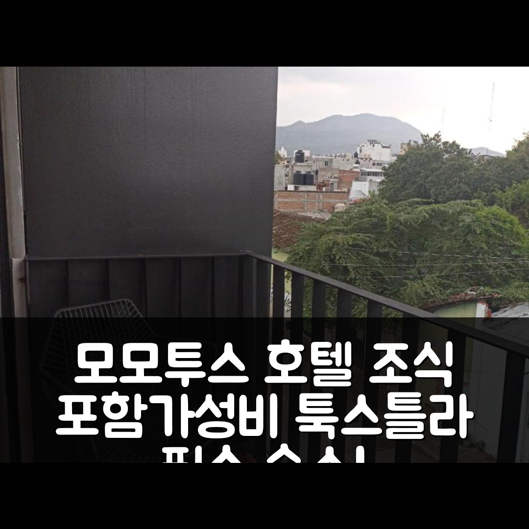 툭스틀라 구티에레스 숙소 여행 호텔 추천 모모투스 호텔 | 조식 포함과 가성비 좋은 위치의 5가지 매력