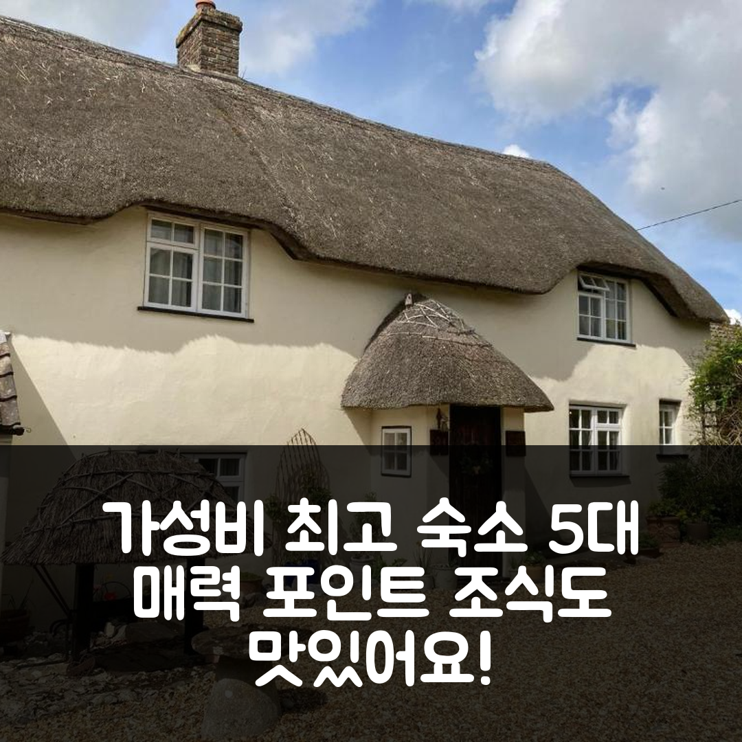 밀본 숙소 여행 호텔 추천 게스트 스위트 앳 31 리틀 잉글랜드 | 가성비와 조식이 뛰어난 5가지 매력 포인트