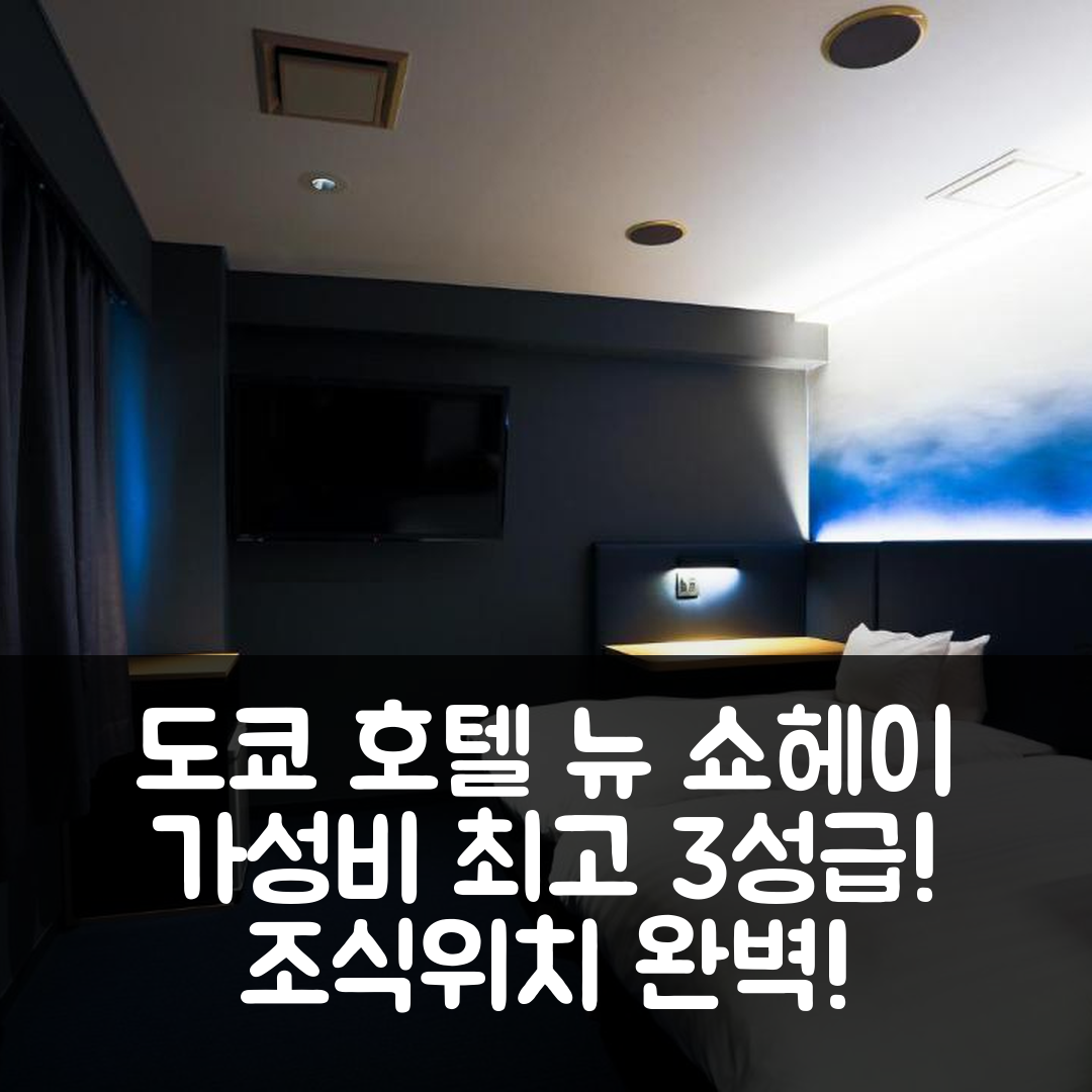 도쿄 숙소 여행 호텔 추천 호텔 뉴 쇼헤이 | 가성비 좋은 3성급 조식과 위치 5가지 장점