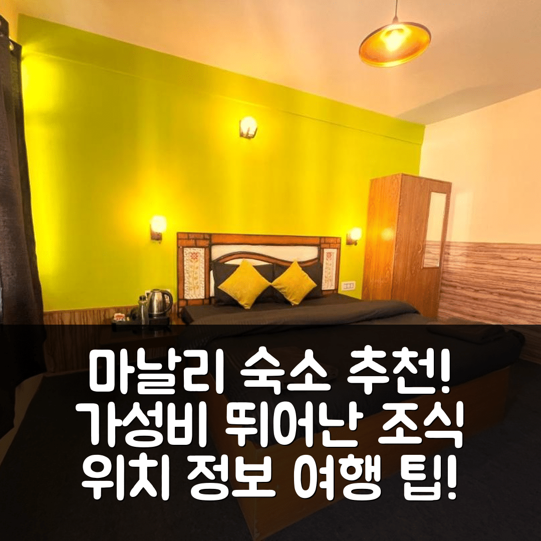 마날리 숙소 여행 호텔 추천 트리피 터틀 호스텔 | 가성비 뛰어난 조식과 위치 정보 6가지 팁