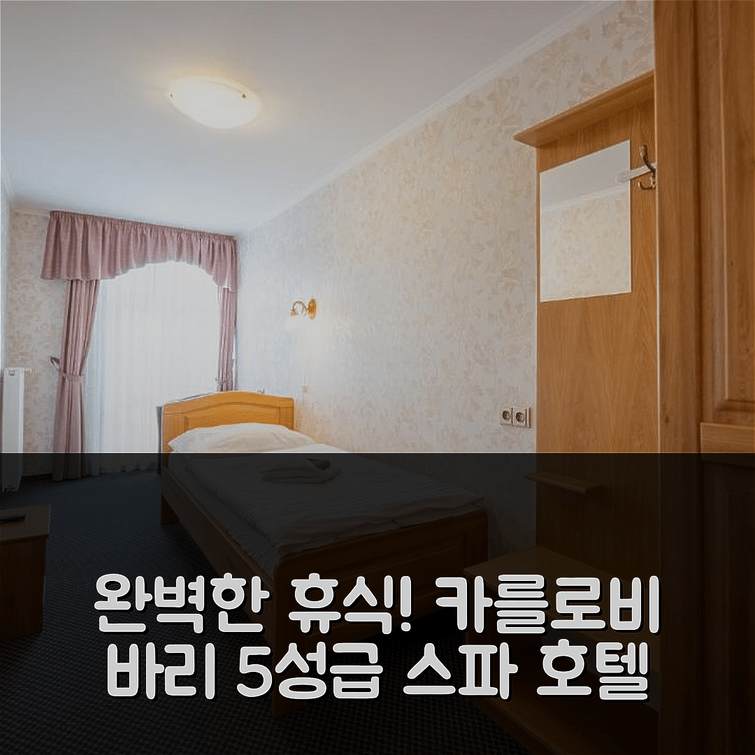 카를로비 바리 숙소 여행 호텔 추천 스파 호텔 밀레니엄 | 5성급 조식과 수영장으로 즐기는 완벽한 휴식 7가지 팁
