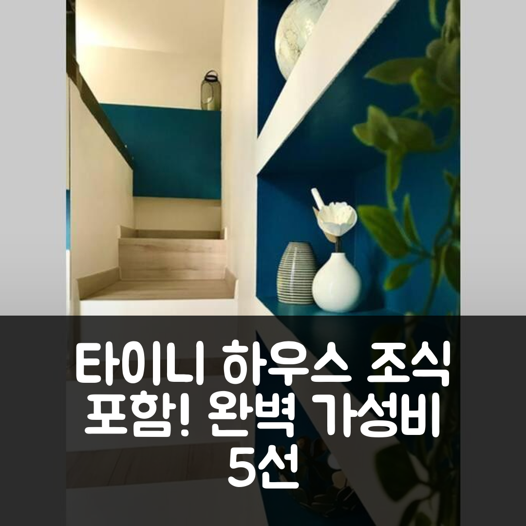 포 숙소 여행 호텔 추천 타이니 하우스 | 조식과 가성비 완벽한 5가지 이유와 예약 팁