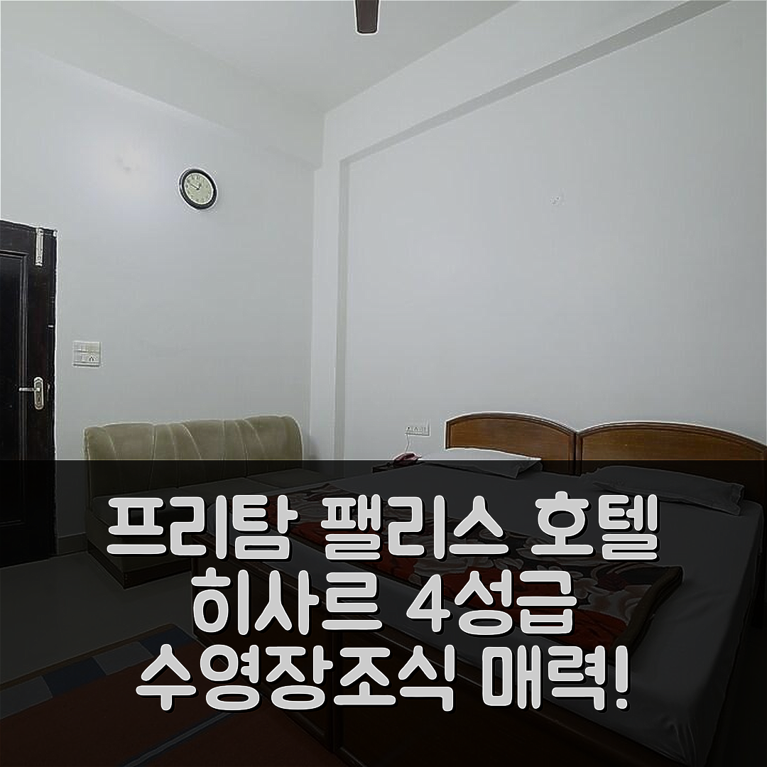 히사르 숙소 여행 호텔 추천 프리탐 팰리스 호텔 | 4성급 수영장과 조식이 매력적인 이유 6가지