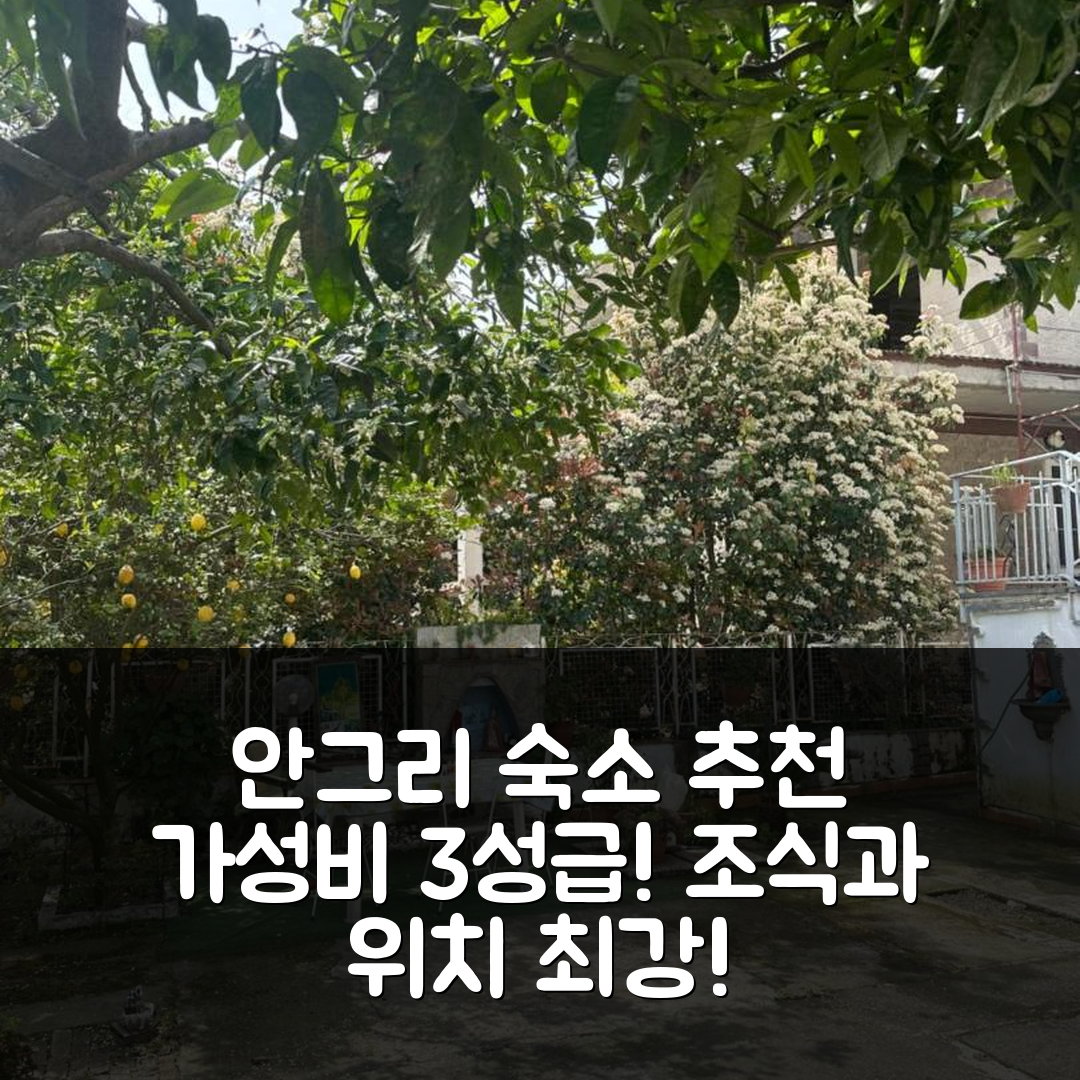 안그리 숙소 여행 호텔 추천 인 팜리기오 아파트먼트 | 가성비 뛰어난 3성급 조식과 위치 정보 7가지