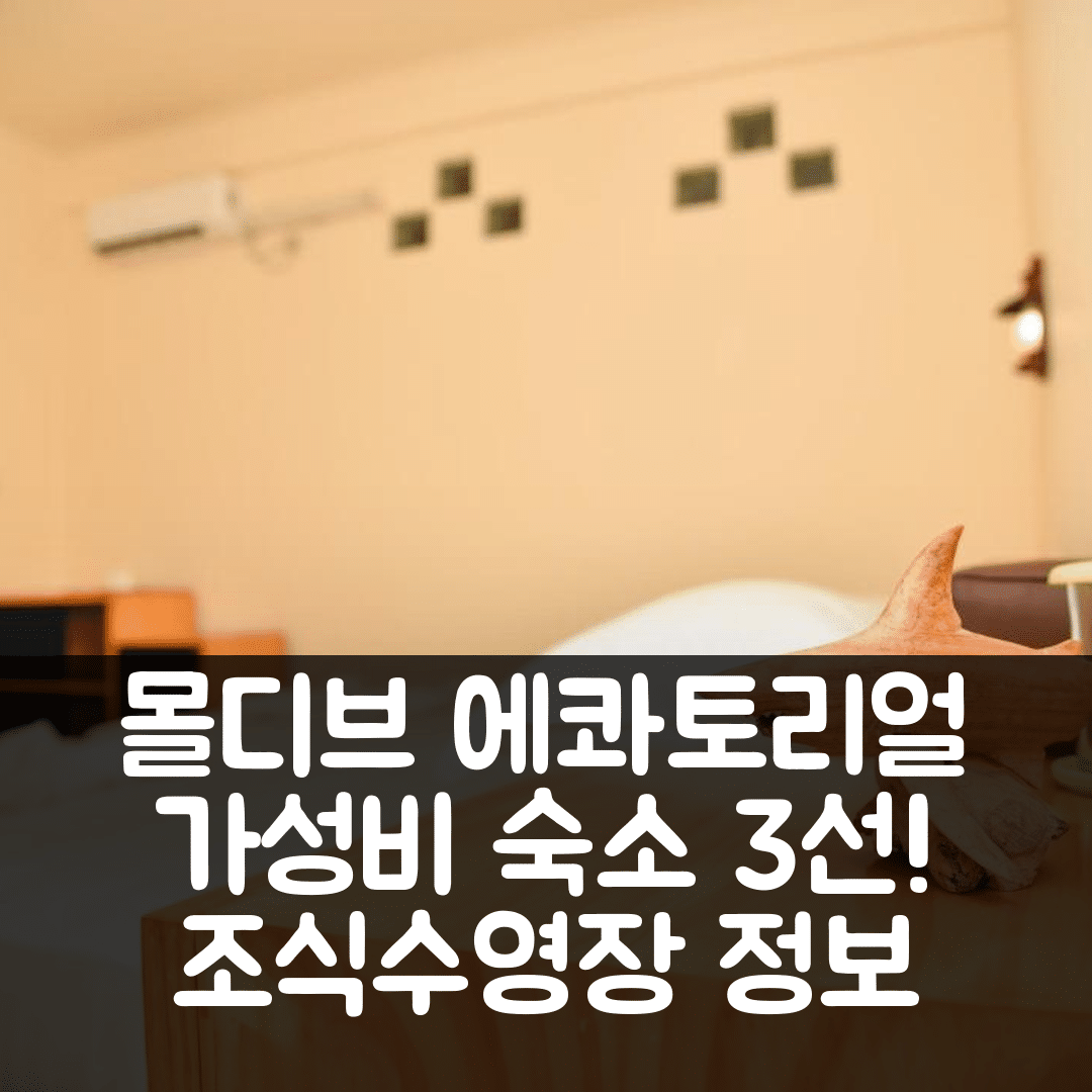 몰디브 아일랜드 숙소 여행 호텔 추천 에콰토리얼 다이버스 롯지 | 가성비 뛰어난 3가지 이유와 조식 및 수영장 정보