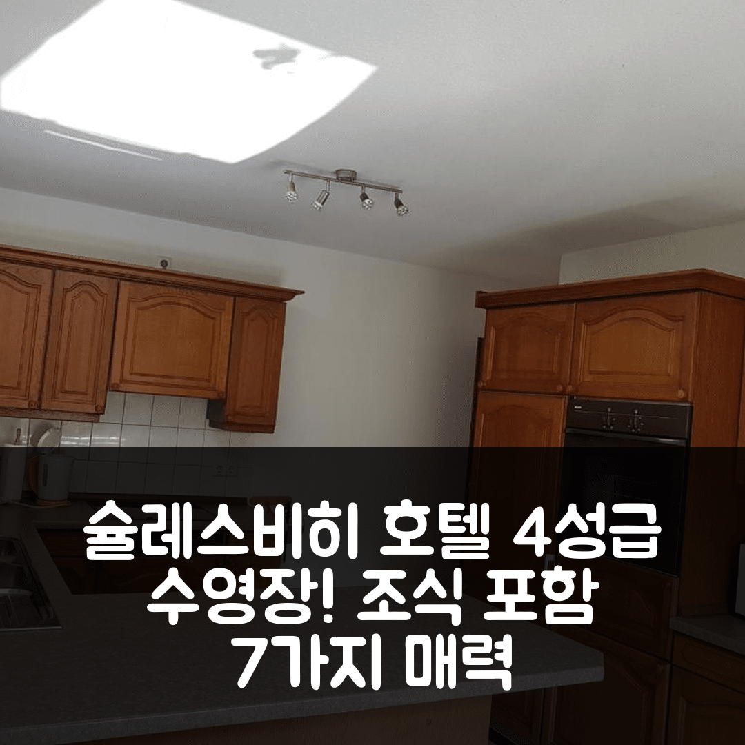 슐레스비히 숙소 여행 호텔 추천 유럽의 조화로운 호프 뮈론 | 4성급 수영장과 조식이 즐거운 7가지 이유