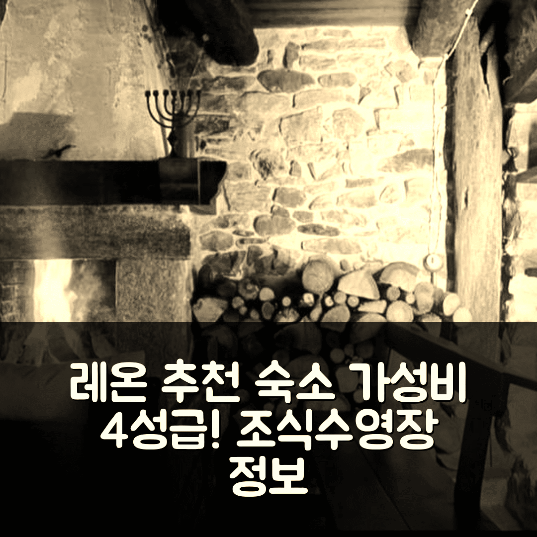 레온 숙소 여행 호텔 추천 엘 파하르 데 포르티야 | 가성비 좋은 4성급 조식과 수영장 정보 7가지