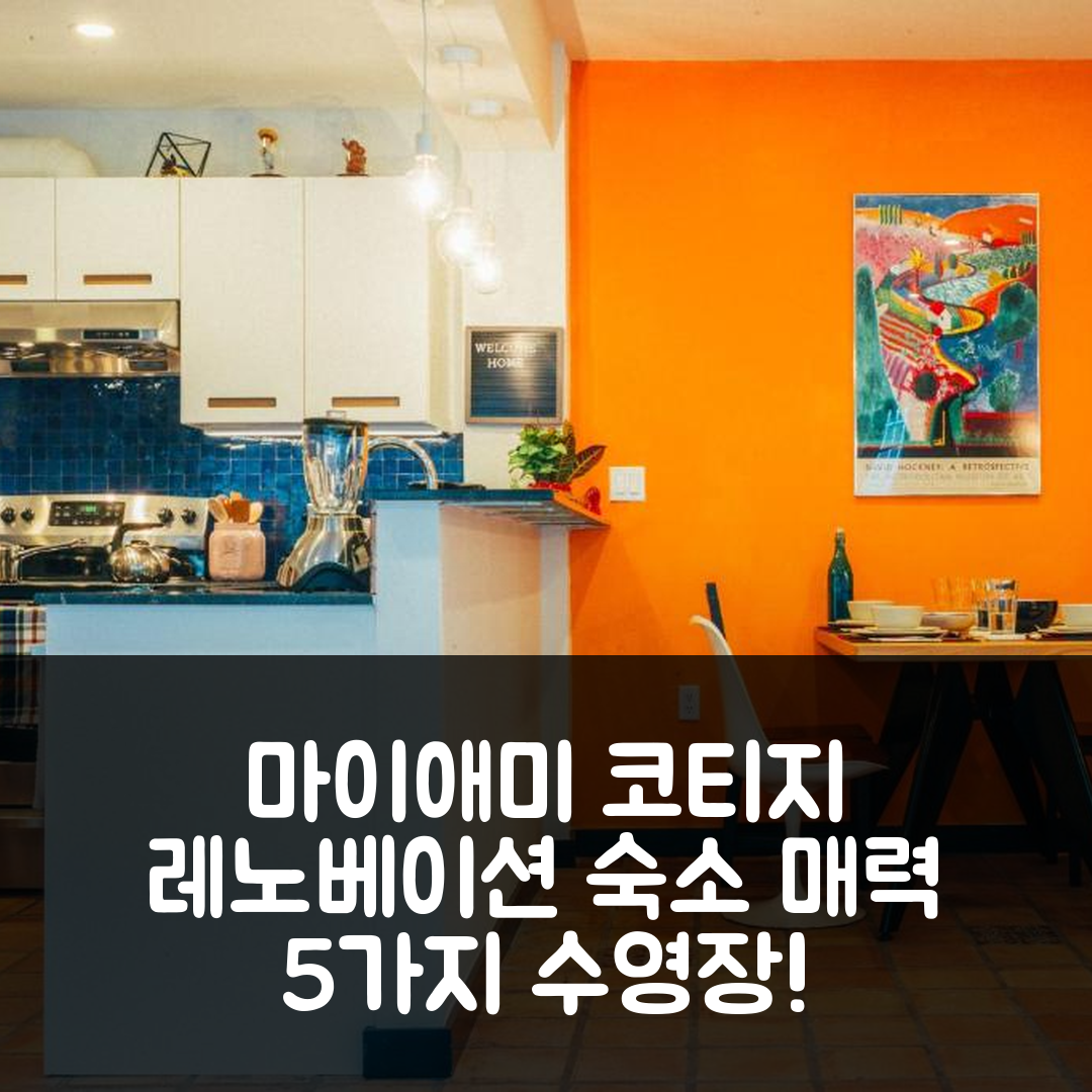 마이애미 숙소 여행 호텔 추천 리노베이티드 히스토릭 코코넛 그로브 코티지 | 5가지 조식과 수영장 매력 포인트