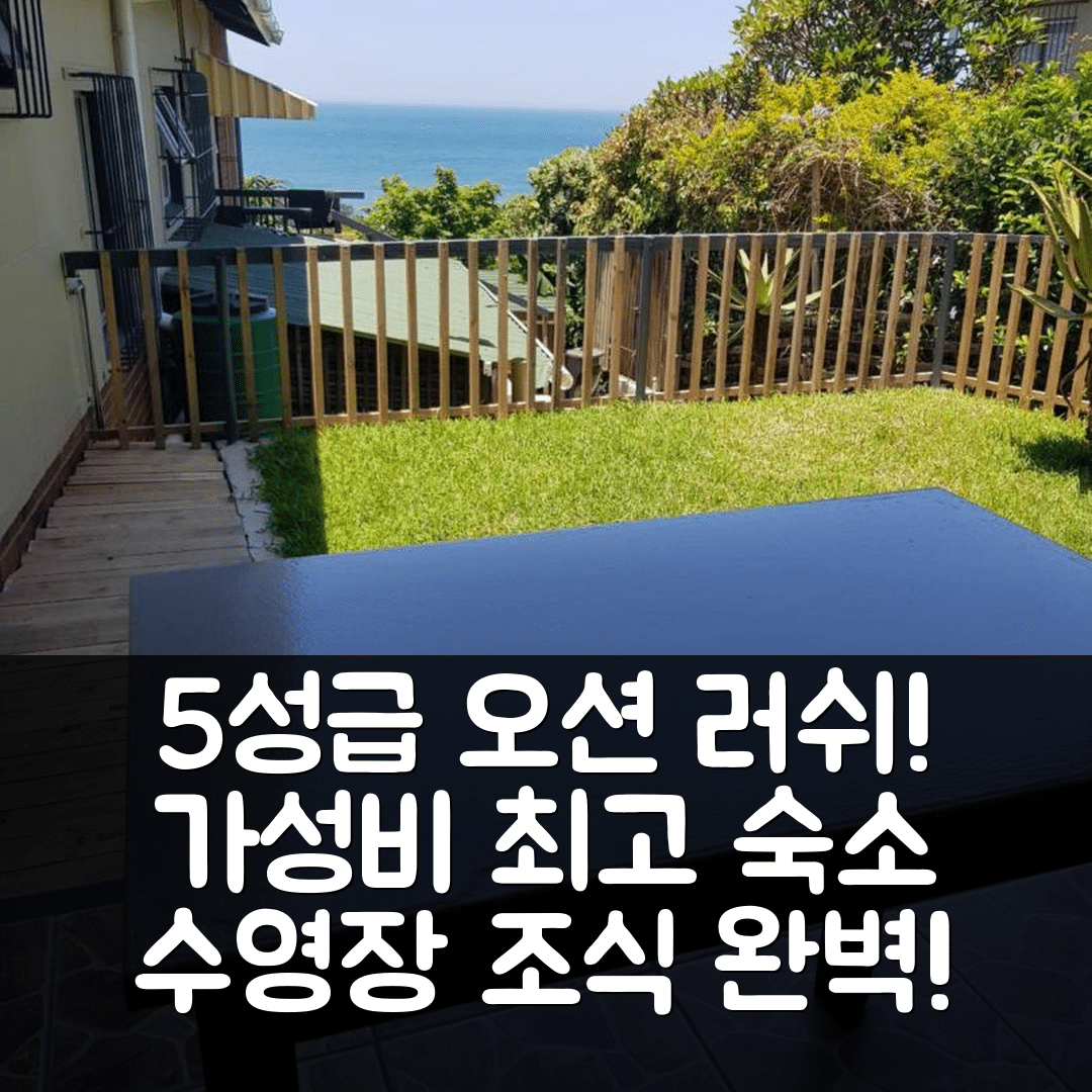 콰지 숙소 여행 호텔 추천 오션 러쉬 터틀 | 가성비 최고 5성급 수영장과 조식 정보 7가지