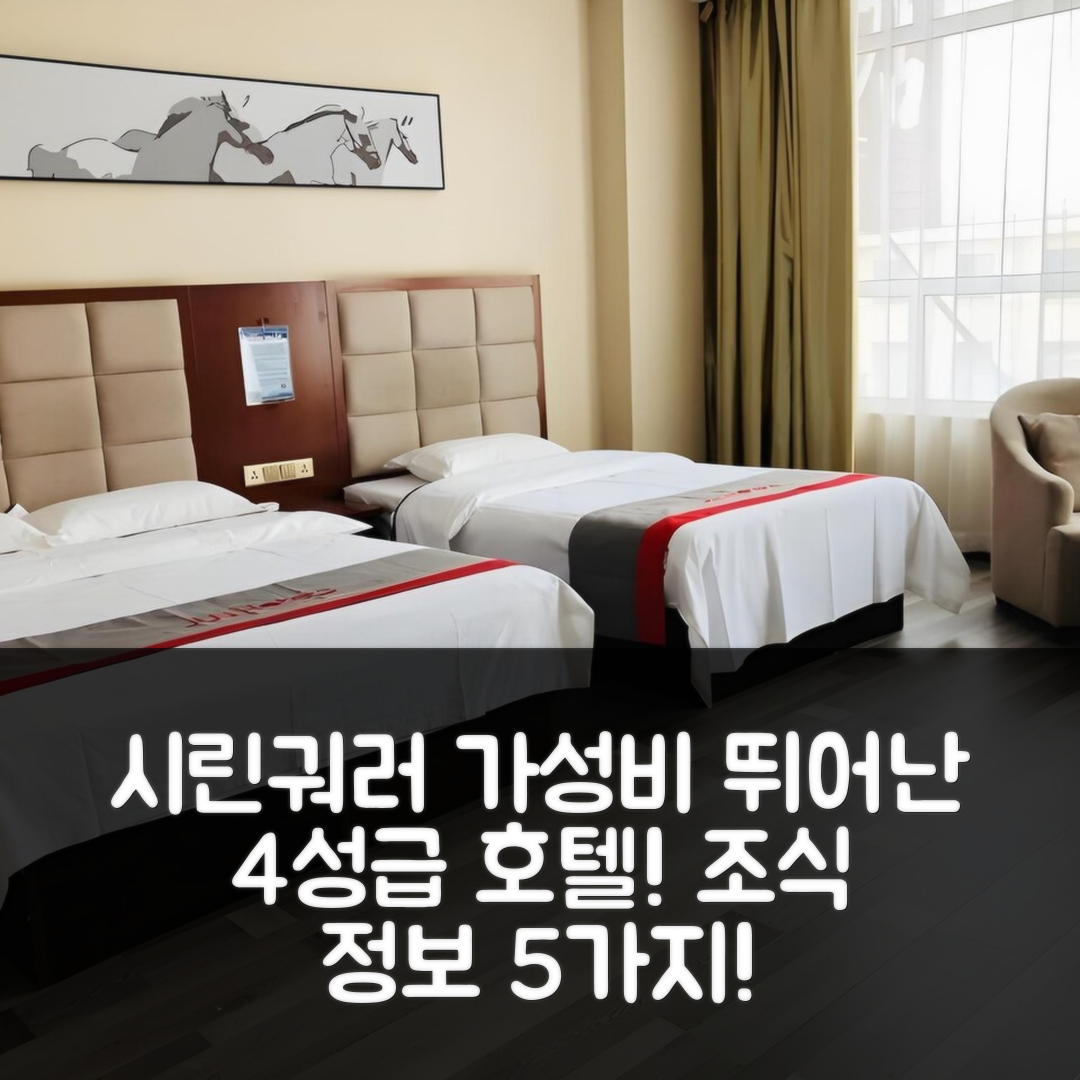 시린궈러 숙소 여행 호텔 추천 준 호텔 이너 몽골리아 실린핫 빅토리 플라자 | 4성급 위치와 가성비 뛰어난 조식 정보 5가지