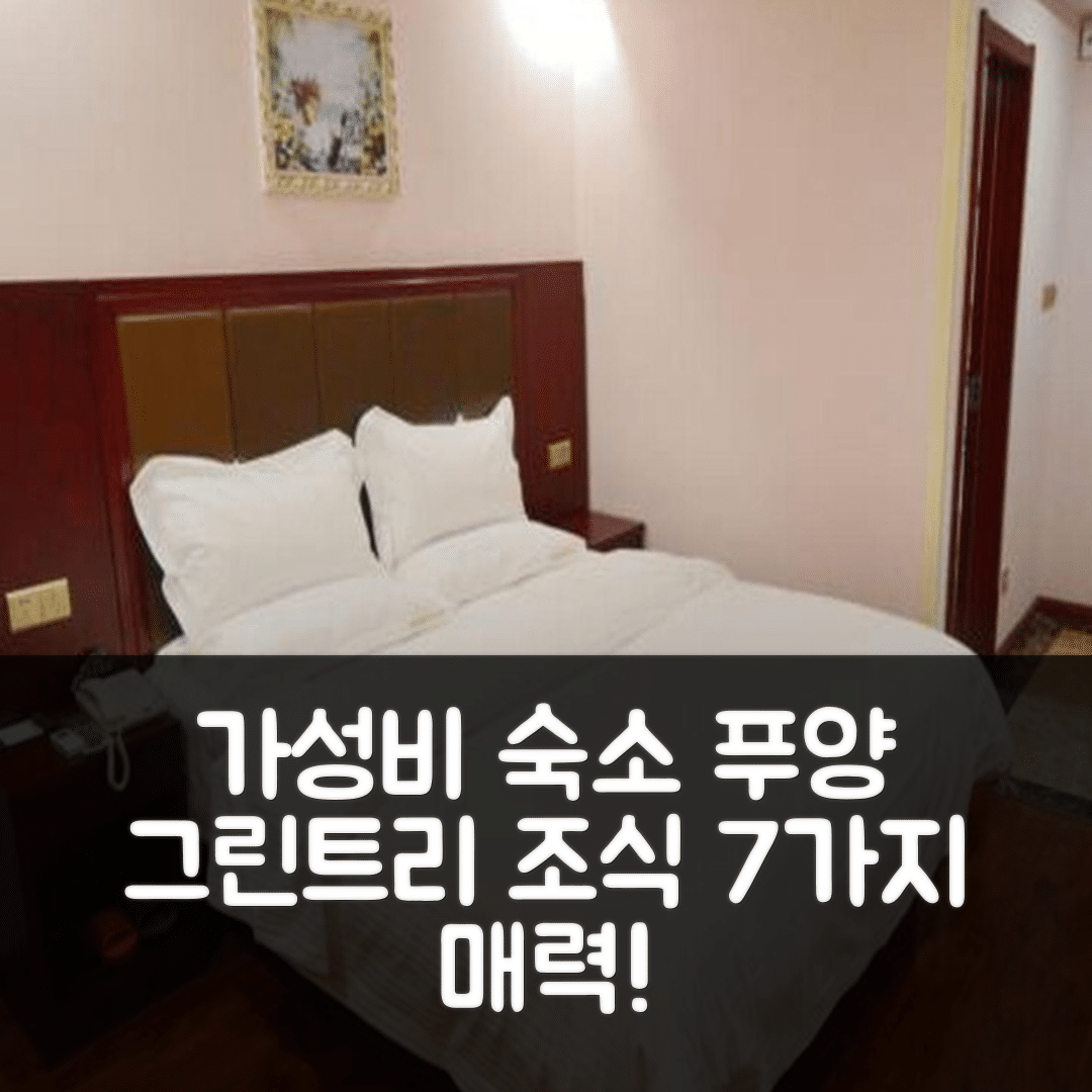 푸양 숙소 여행 호텔 추천 그린트리 인 푸양 이징 인터내셔널 노스 비즈니스 | 가성비와 조식이 뛰어난 7가지 매력 포인트