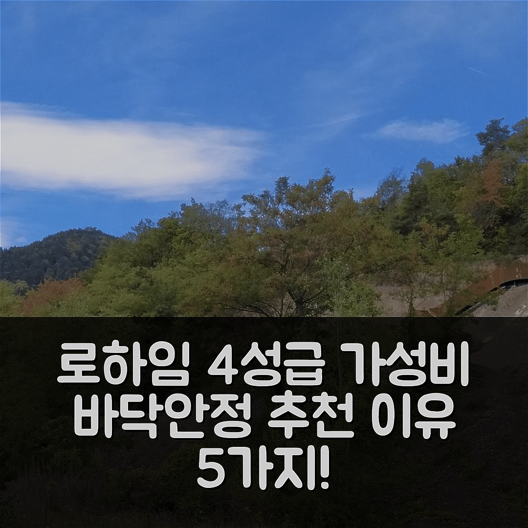 로하임 숙소 여행 호텔 추천 아파트 뒤플렉스 쉬 샌드라 | 4성급 가성비와 조식, 추천 이유 5가지