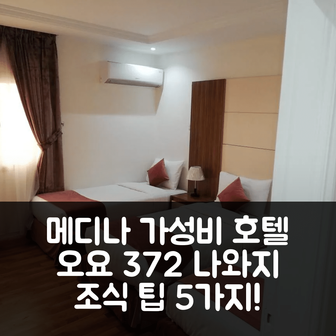 메디나 숙소 여행 호텔 추천 오요 372 나와지 와디르 호텔 | 가성비 뛰어난 조식과 위치 정보 5가지 팁