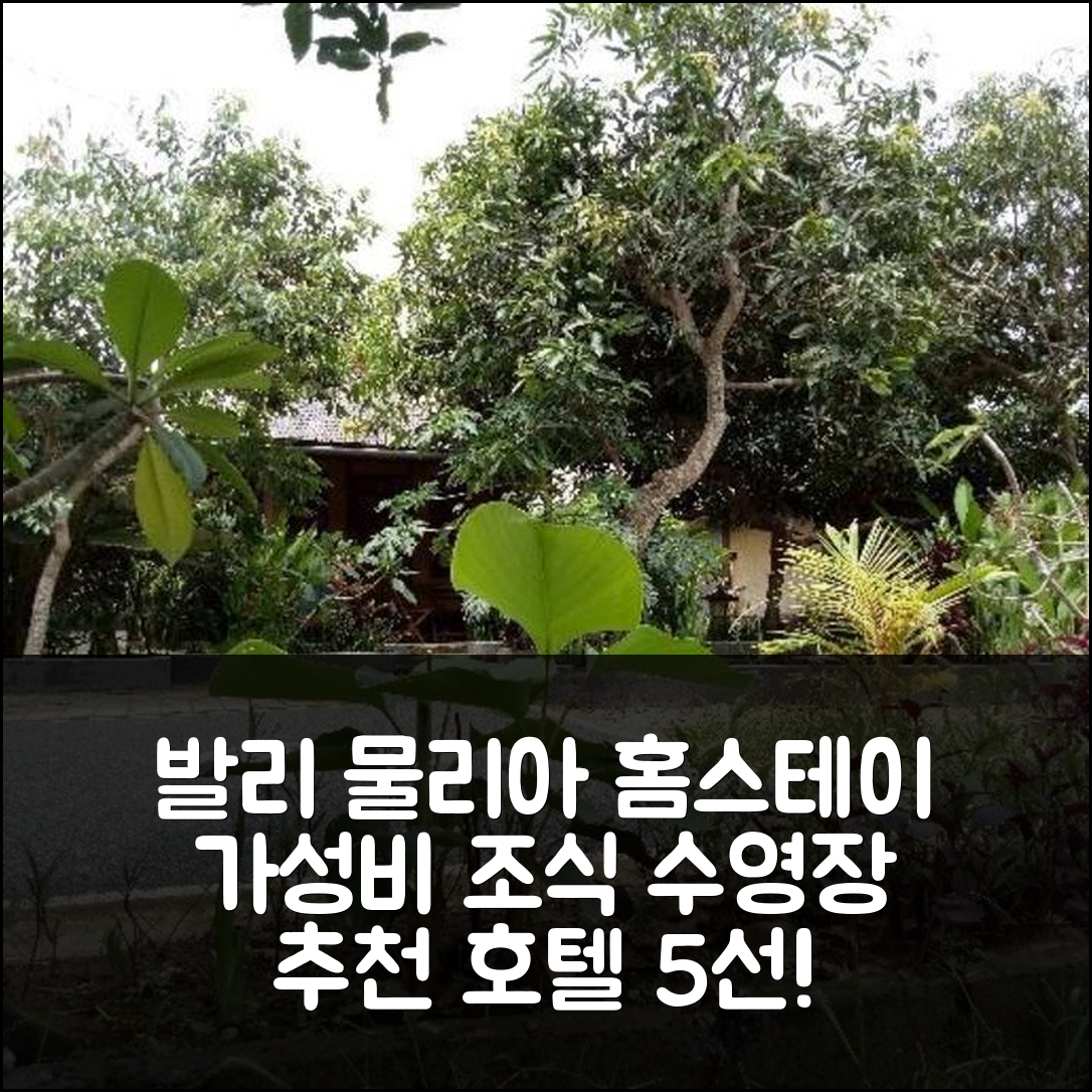 발리 숙소 여행 호텔 추천 물리아 홈스테이 4 | 가성비 뛰어난 조식과 수영장 정보 5가지