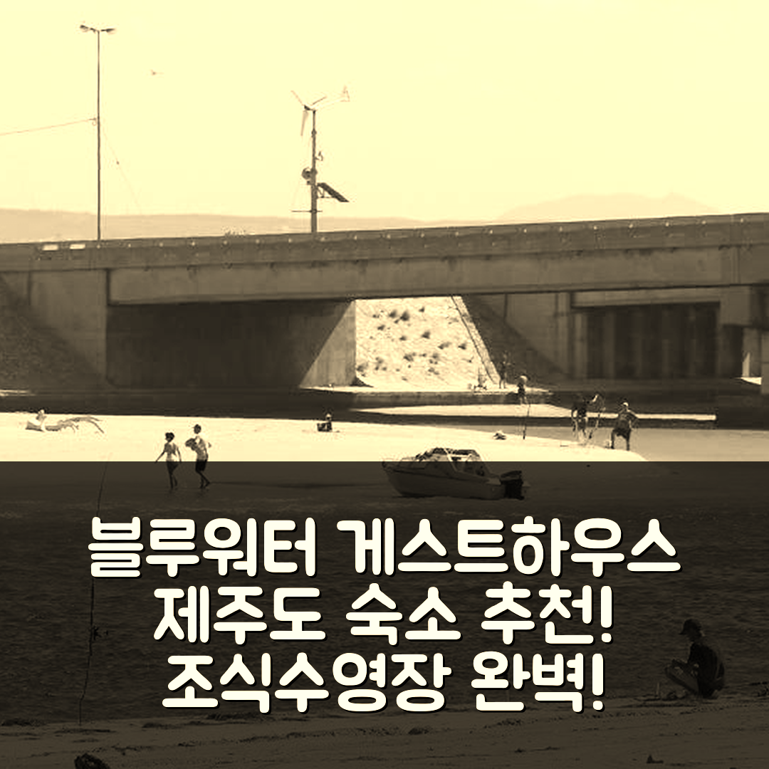 포트 엘리자베스 숙소 여행 호텔 추천 블루워터 게스트하우스 | 조식과 수영장으로 완벽한 5가지 이유