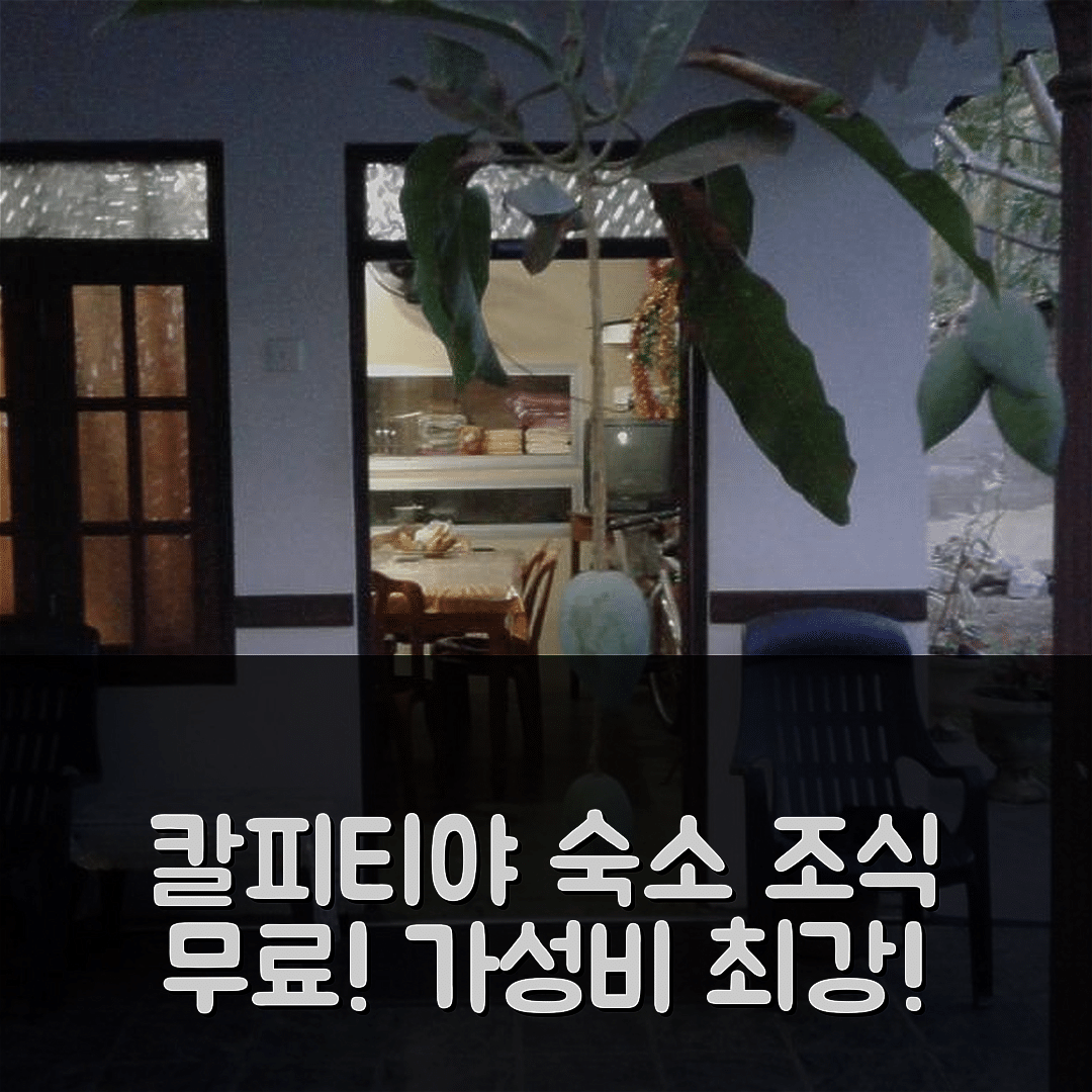 칼피티야 숙소 여행 호텔 추천 칼피티야 게스트 하우스 | 가성비와 조식이 뛰어난 4가지 이유