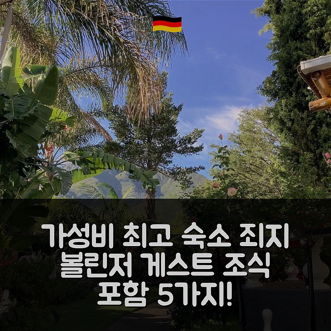 죄지 숙소 여행 호텔 추천 볼린저 게스트 하우스 | 조식과 가성비 좋은 5가지 이유